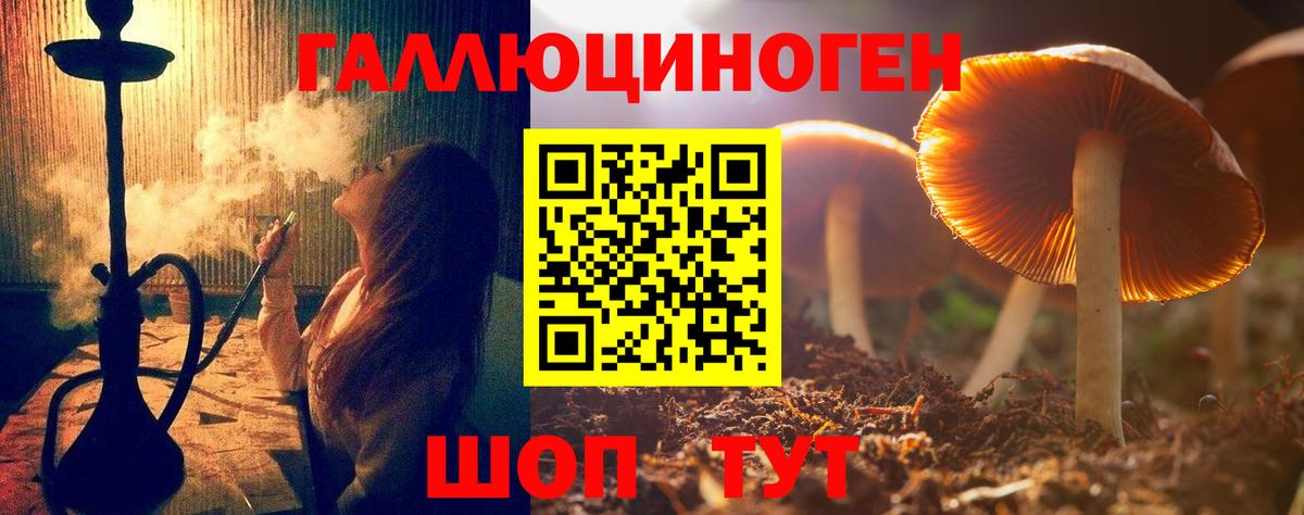 Майский  Псилоцибиновые грибы Cubensis  Галлюциногенные грибы мицелий  Вход с VPN 